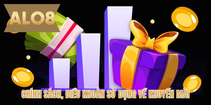 Chính sách, điều khoản sử dụng về khuyến mãi