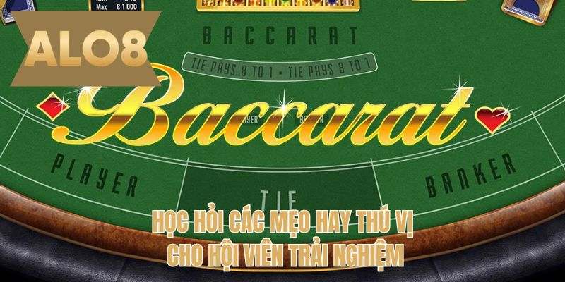 Học hỏi các mẹo hay thú vị cho hội viên trải nghiệm