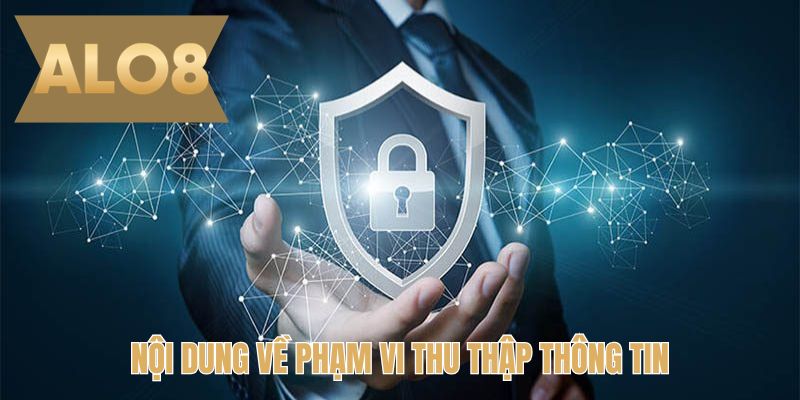Nội dung về phạm vi thu thập thông tin